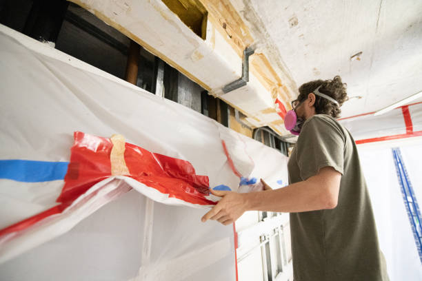 Trusted Eutaw, AL Mold Removal Experts
