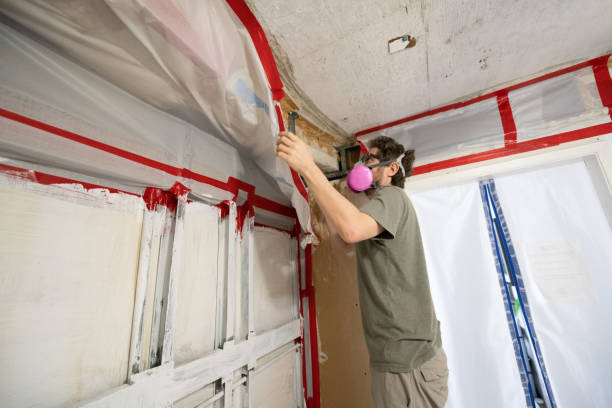 Best Mold Documentation for Insurance Claims  in Eutaw, AL