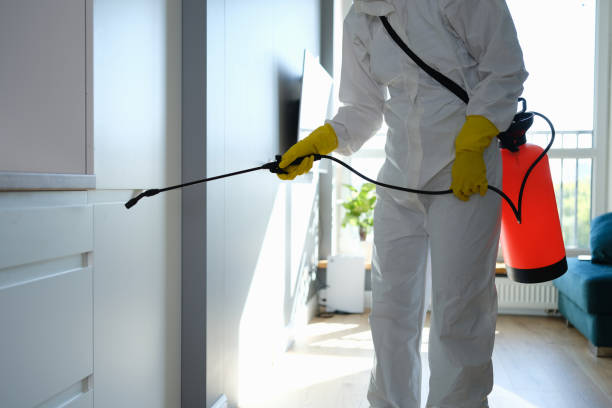 Mold Remediation for Rental Properties in Eutaw, AL