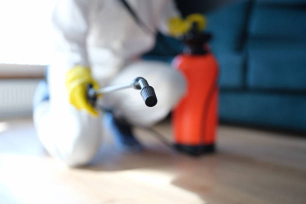 Best Asbestos and Lead Testing During Mold Inspection  in Eutaw, AL