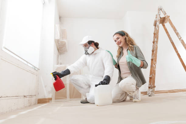 Best Mold Odor Removal Services  in Eutaw, AL
